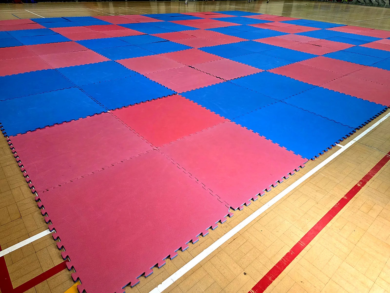 Entrance side of the Arklow training hall used by Leinster TaeKwon Do