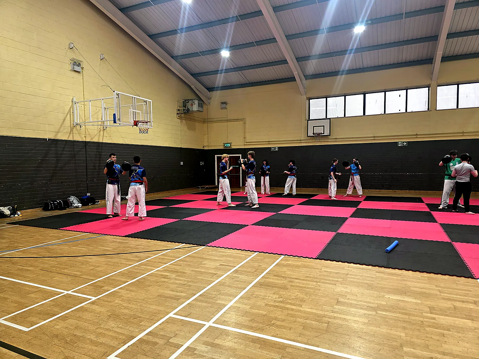 Enniscorthy Taekwon-Do class practising techniques in pairs on the mats