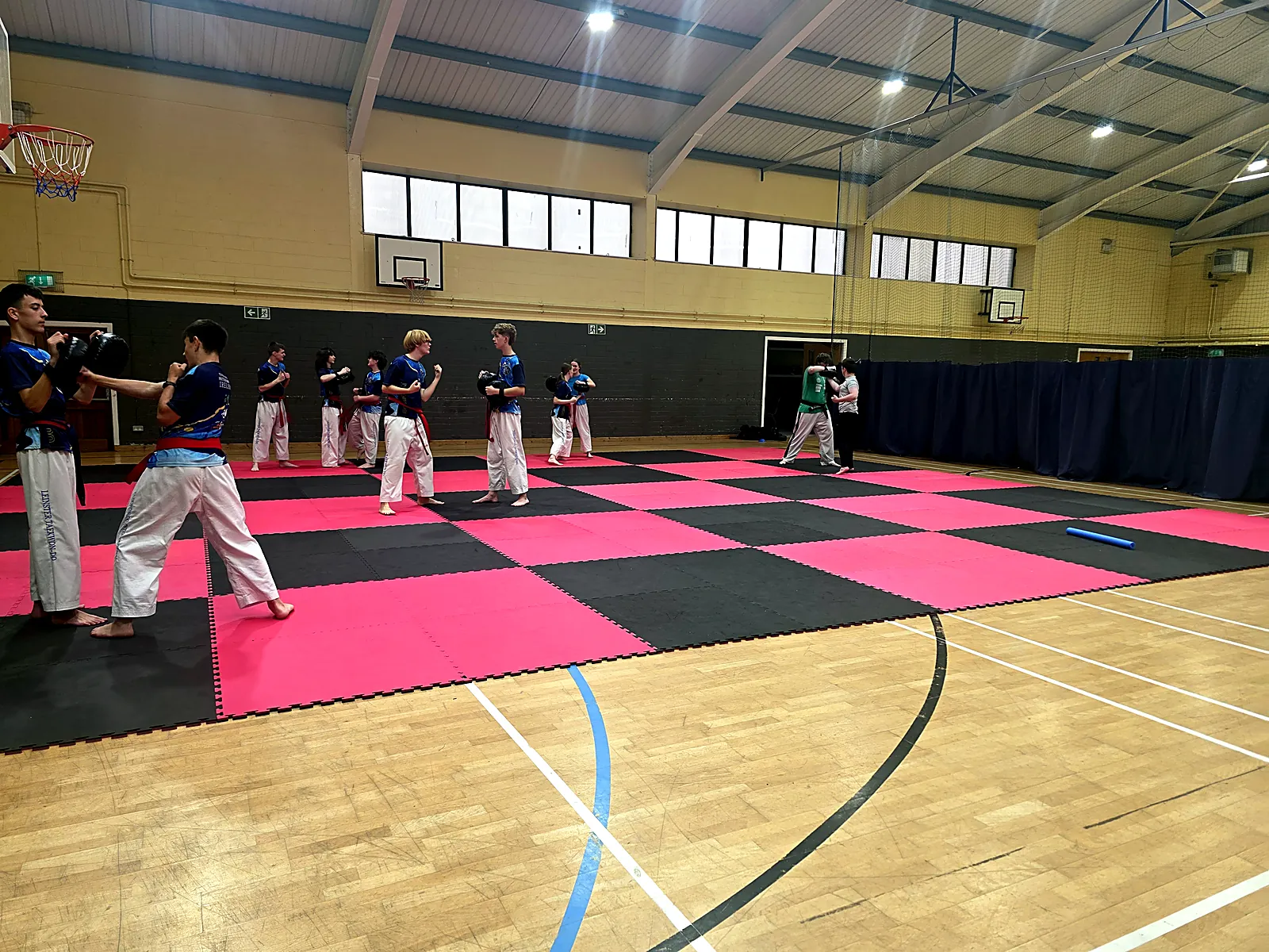 Group of Leinster TaeKwon Do students training as a class in Enniscorthy