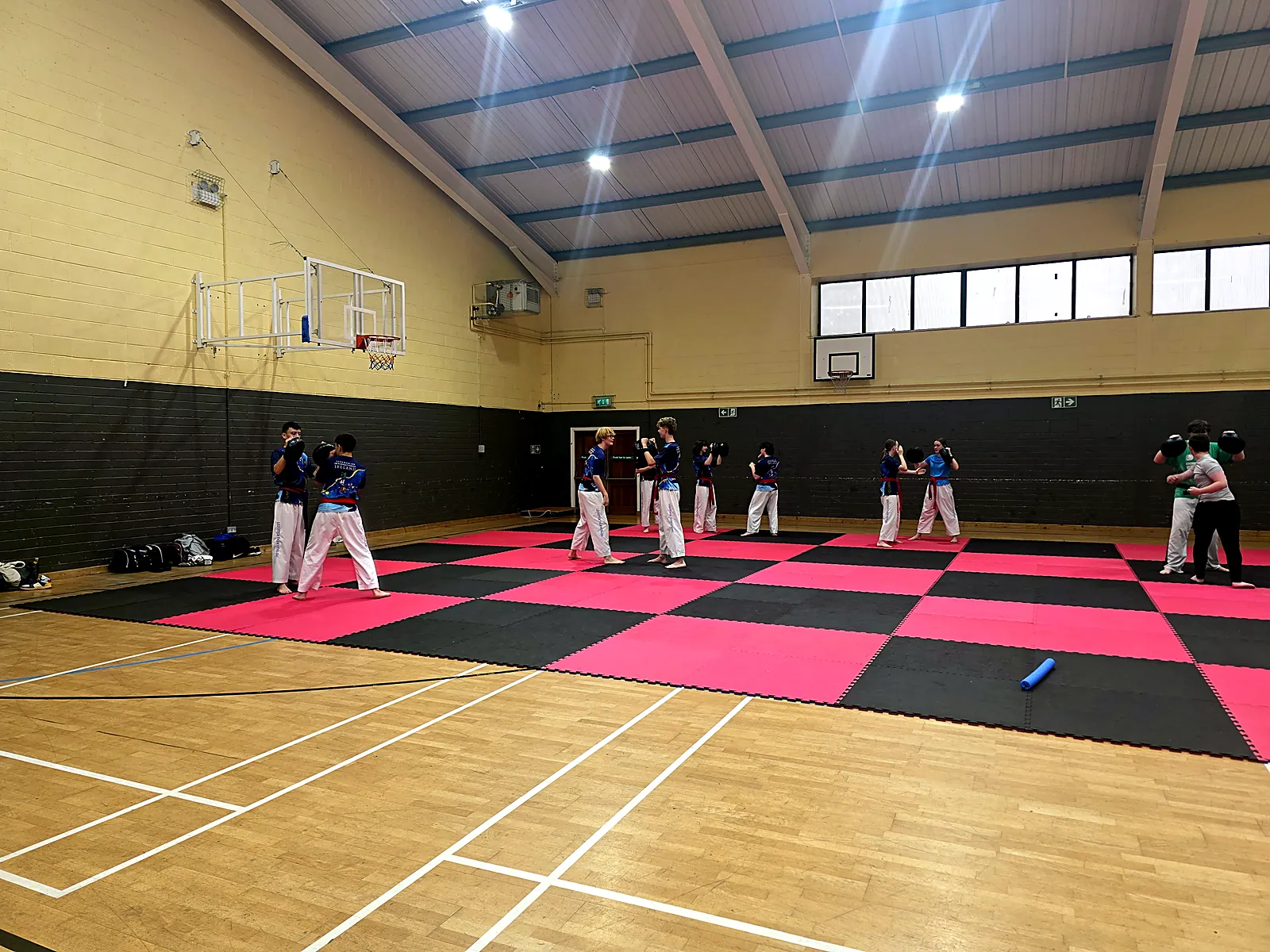 Enniscorthy Taekwon-Do students working through a technique on the training floor