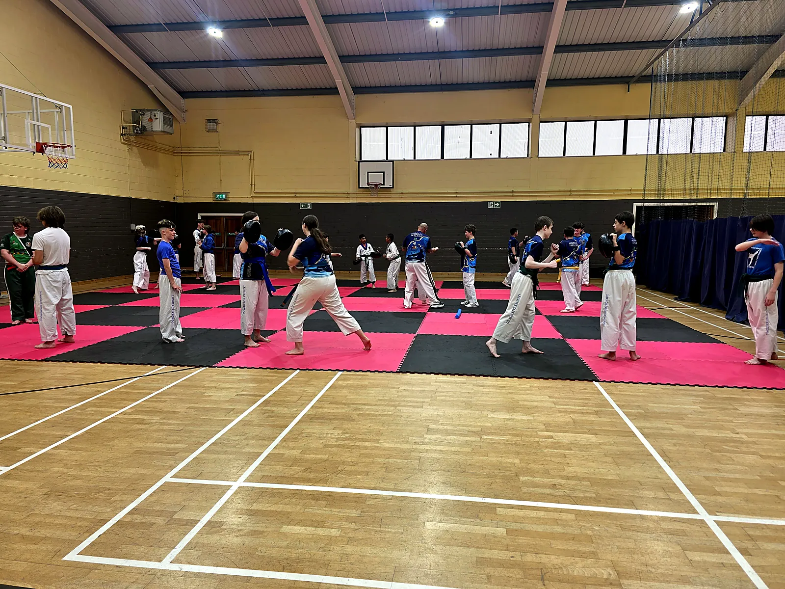 Leinster TaeKwon Do students training together on the mats in Enniscorthy