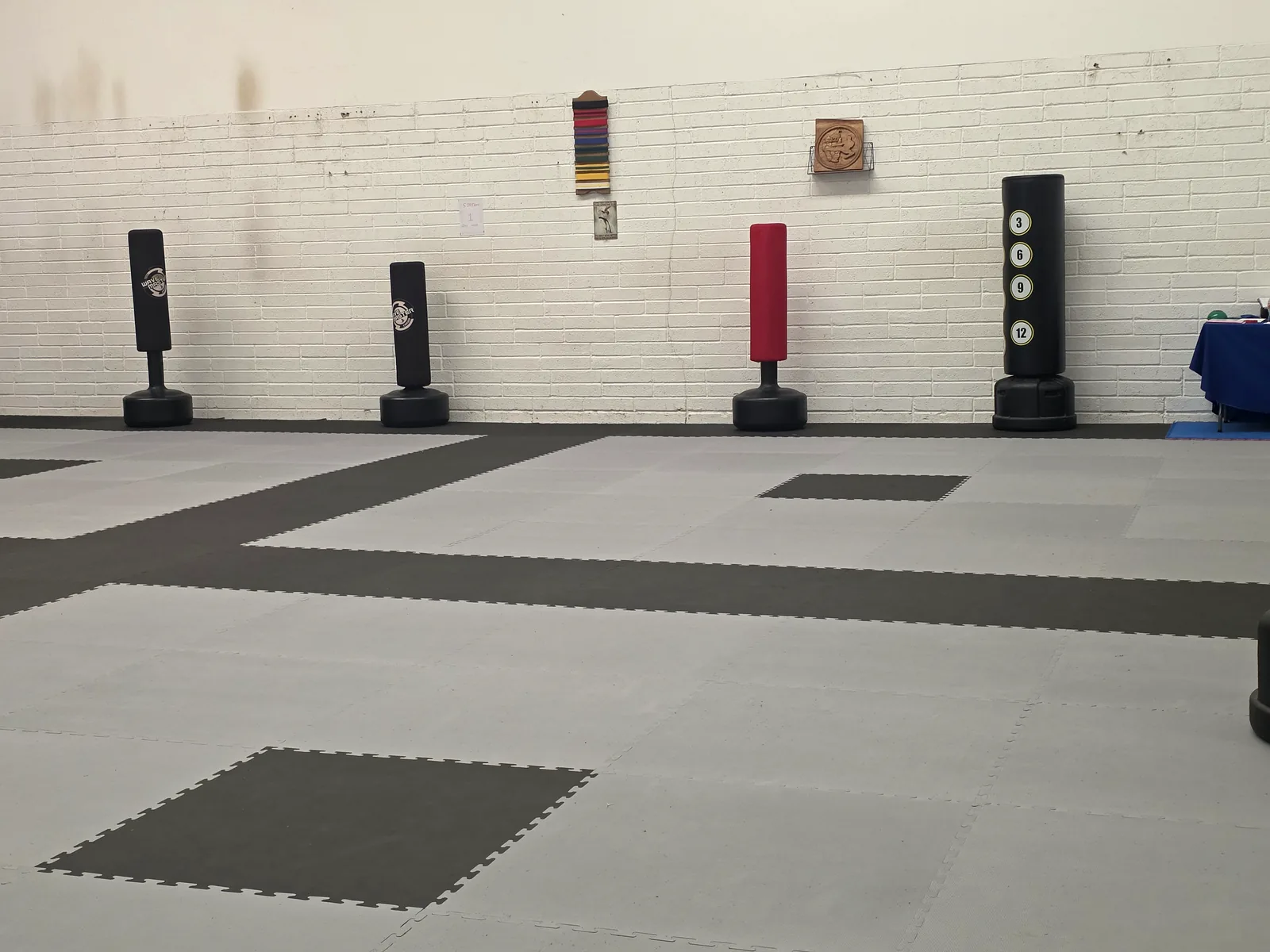 Belt colour display and Taekwon-Do plaque on the wall beside freestanding kick bags at Leinster TaeKwon Do Gorey